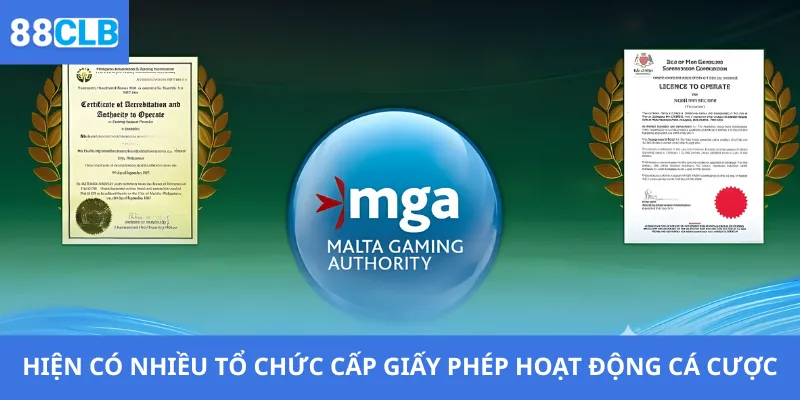 Hiện có nhiều tổ chức cấp giấy phép hoạt động cá cược