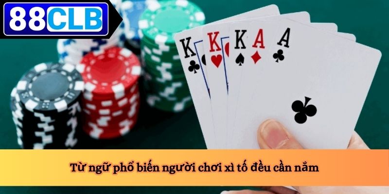 Từ ngữ phổ biến người chơi xì tố đều cần nắm